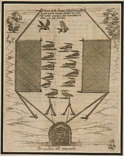 Vorschaubild des Elementes mit der Inventarnummer A 98249 (in KB A 840,2, Bl. 88r.)