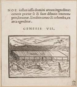 Vorschaubild des Elementes mit der Inventarnummer A 1645
