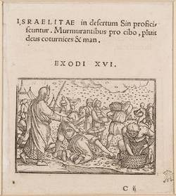 Vorschaubild des Elementes mit der Inventarnummer A 1651