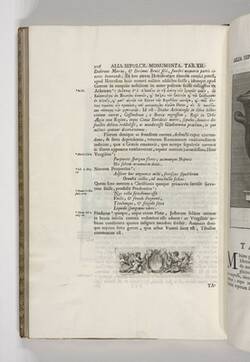 Vorschaubild des Elementes mit der Inventarnummer B 152,2/S. 206
