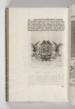 Vorschaubild des Elementes mit der Inventarnummer B 152,2/S. 208