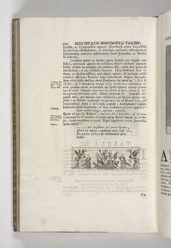 Vorschaubild des Elementes mit der Inventarnummer B 152,2/S. 210