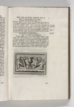 Vorschaubild des Elementes mit der Inventarnummer B 152,2/S. 51