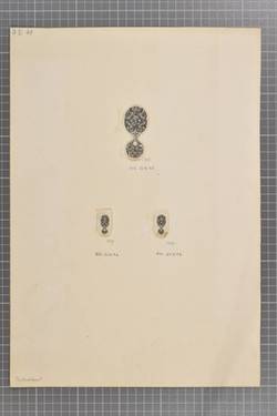 Vorschaubild des Elementes mit der Inventarnummer Kg 22816