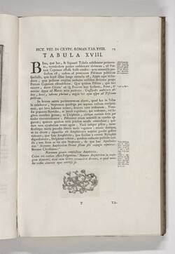 Vorschaubild des Elementes mit der Inventarnummer B 152,2/S. 73