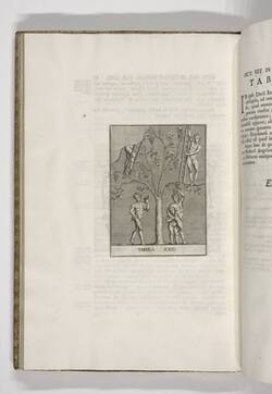 Vorschaubild des Elementes mit der Inventarnummer B 152,2/S. 86