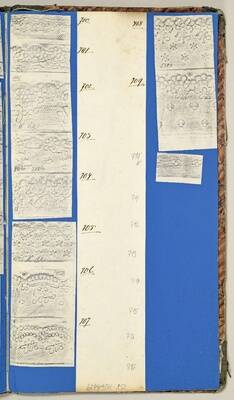 Vorschaubild des Elementes mit der Inventarnummer 6244-842-852