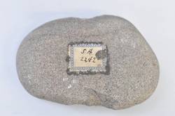 Vorschaubild des Elementes mit der Inventarnummer SAm 04842