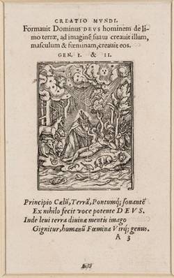 Vorschaubild des Elementes mit der Inventarnummer A 1716