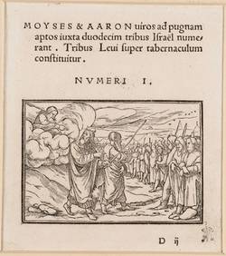 Vorschaubild des Elementes mit der Inventarnummer A 1655