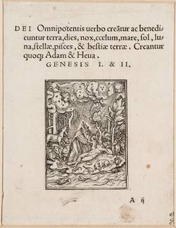 Vorschaubild des Elementes mit der Inventarnummer A 1643